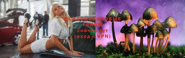 кокс Алексин