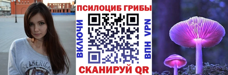 цены наркотик  Кыштым  Галлюциногенные грибы Psilocybine cubensis 